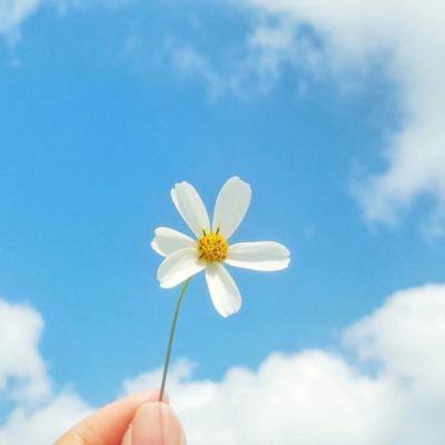 安博体育手机app下载截图