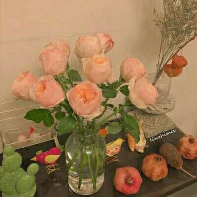 体育电竞押注网站大全截图