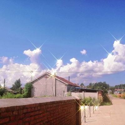 澳门4949资料免费大全app下载