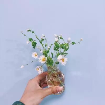 亚博足球外围软件app下载截图