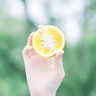 新188app官网下载