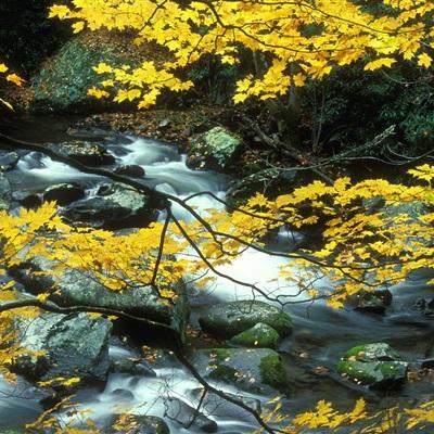 xk星空网官网登录入口